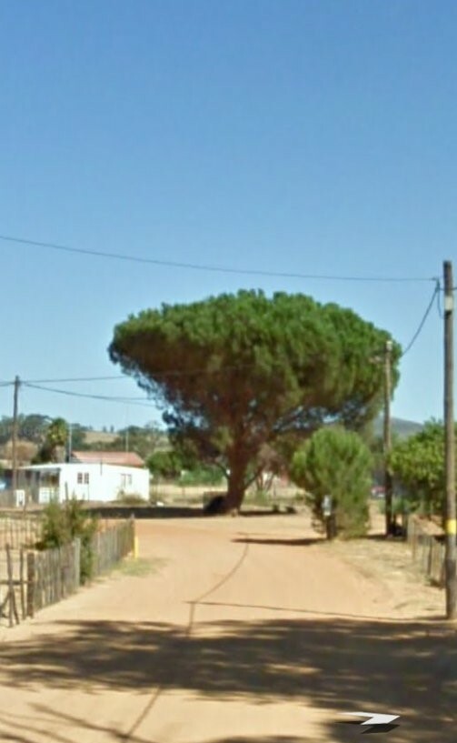 the expanding landscape of Chatsworth, Malmesbury